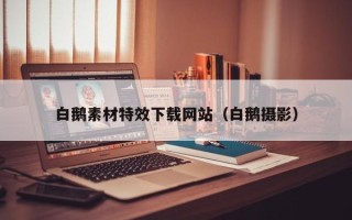 孝昌白鹅素材特效下载网站（白鹅摄影）